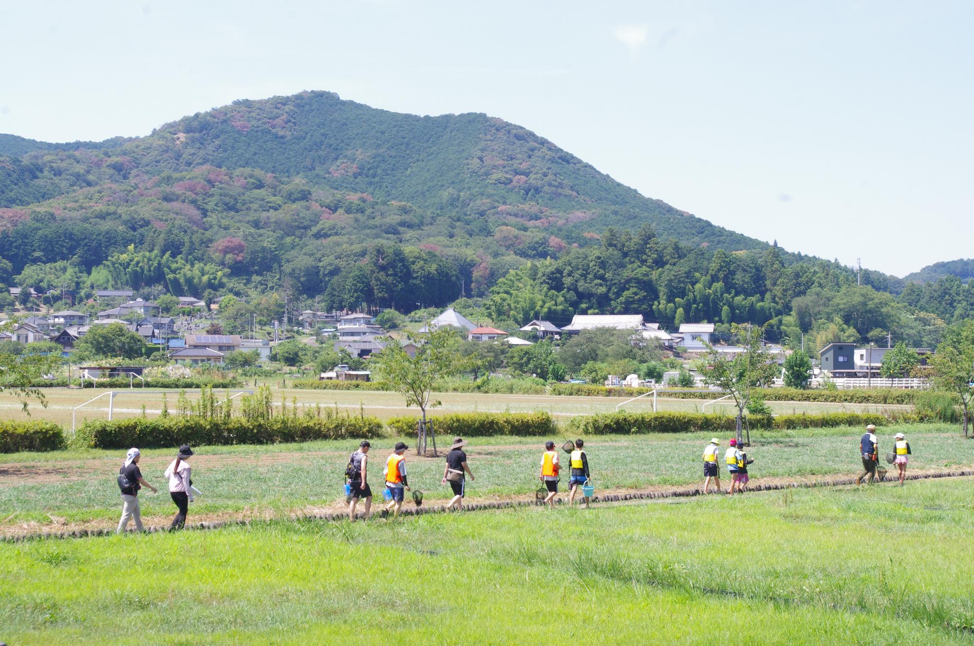 日和田山背景