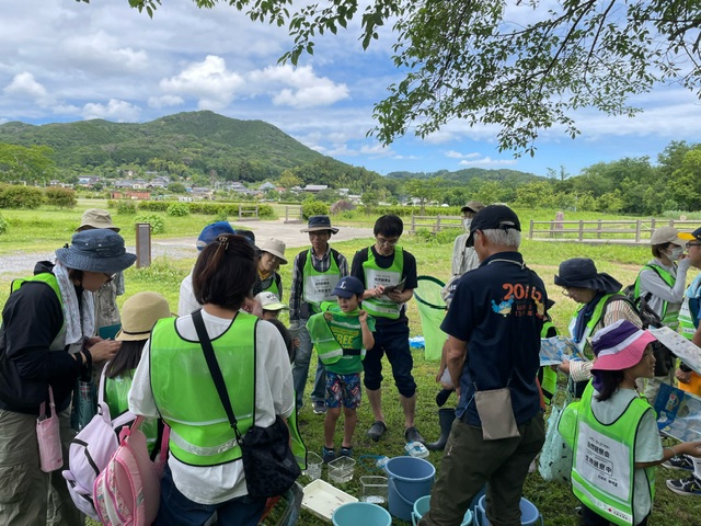6月開催：水生生物・昆虫観察