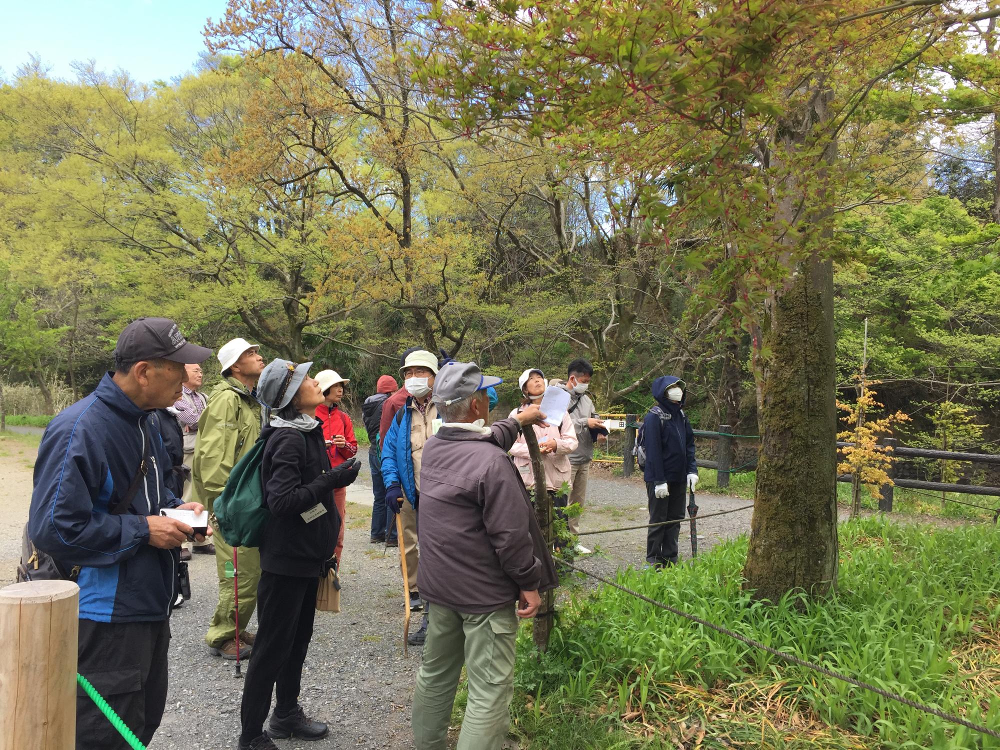 （イメージ）令和8年度自然観察会