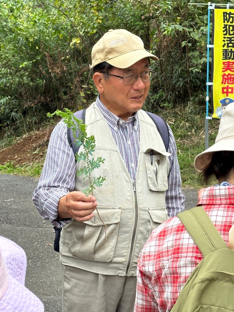 令和7年度「秋の七草を探そう」講師による説明