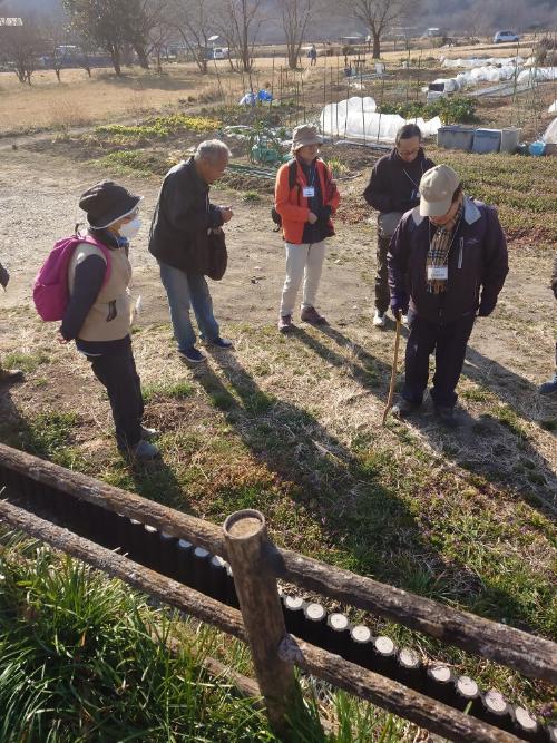 令和6年度「春の七草を探そう」の様子