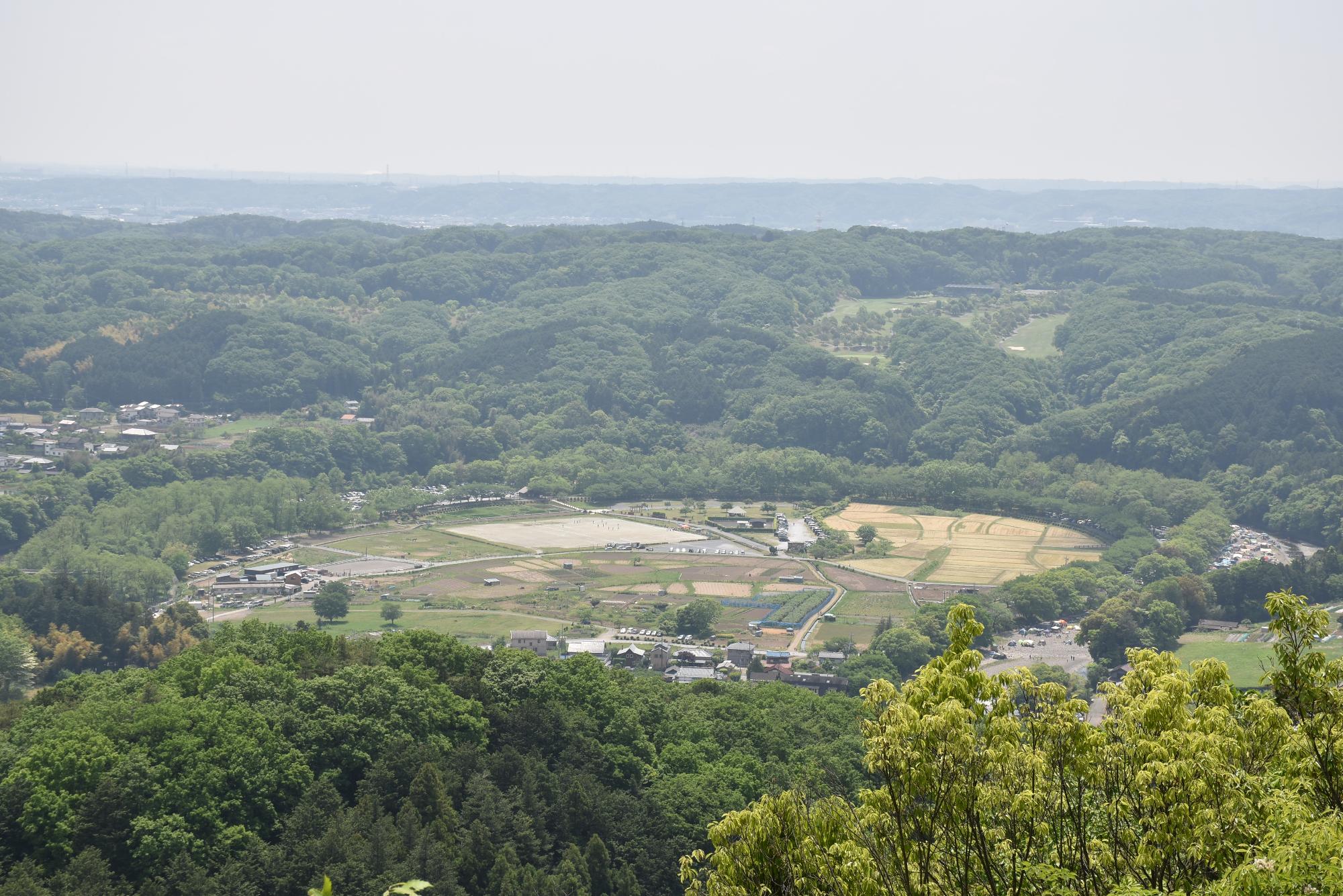 日和田山からみえる景色