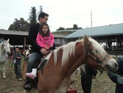 高麗郷フェスティバル2014「第3回高麗王杯馬射戲（MASAHI）騎射競技大会」の様子の写真2