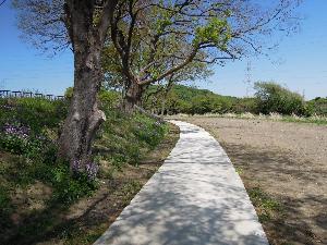 北平沢地内遊歩道