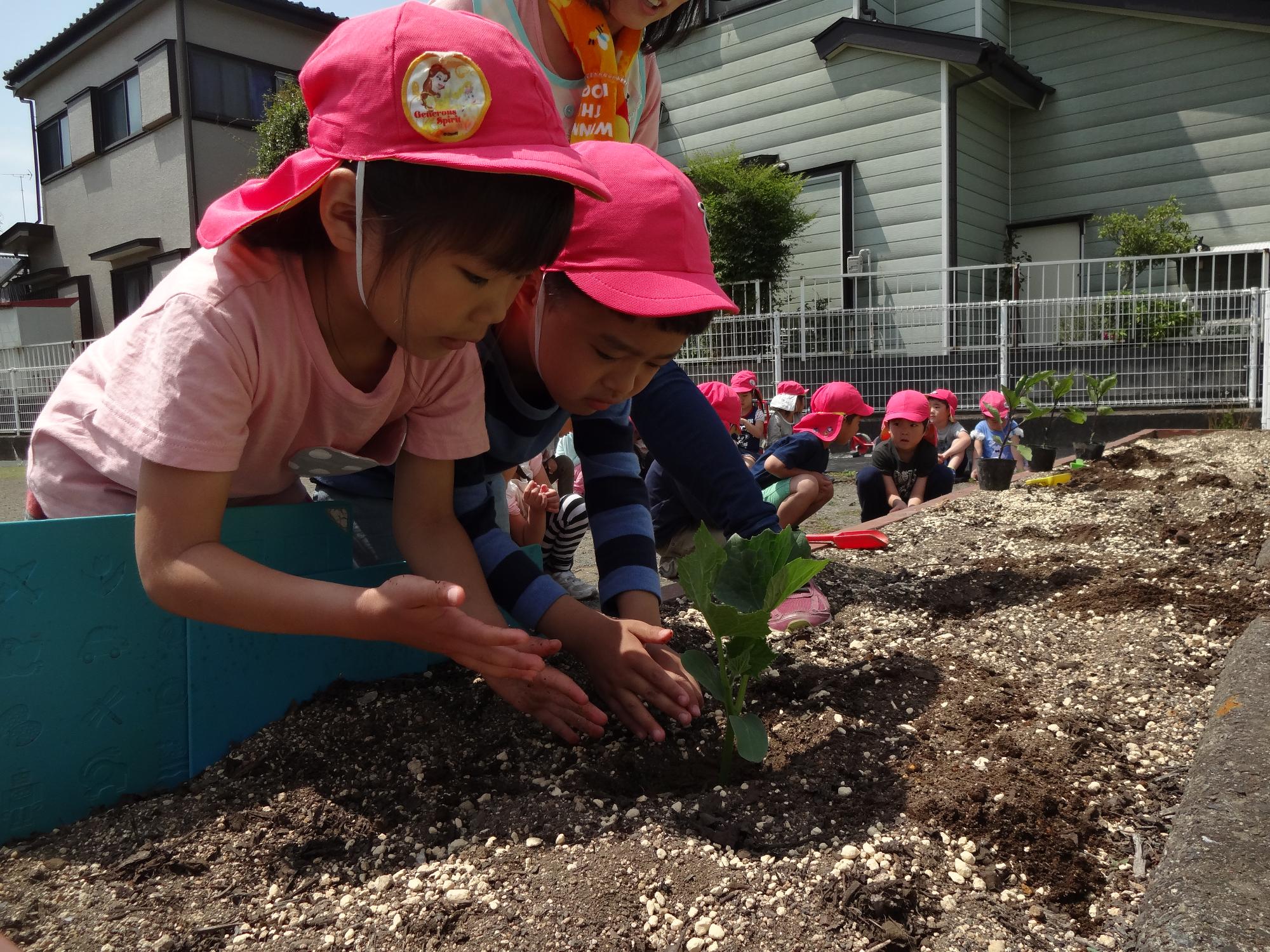 5歳児すみれ組の保育所生活（高麗川保育所）