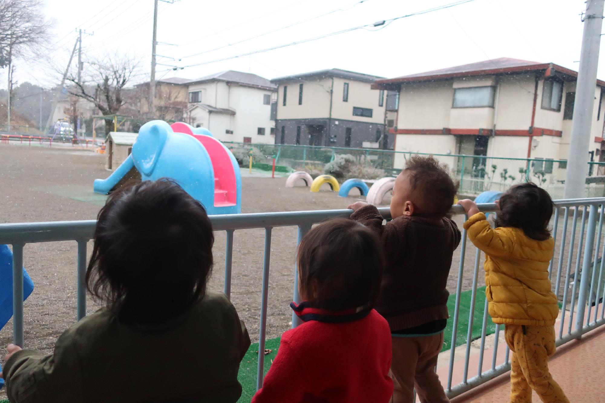 雪が降るのを見ているところ