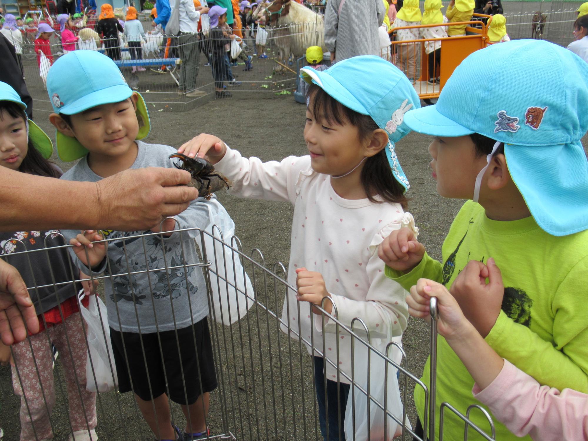 ヘラクレスオオカブトを見ている子どもたち