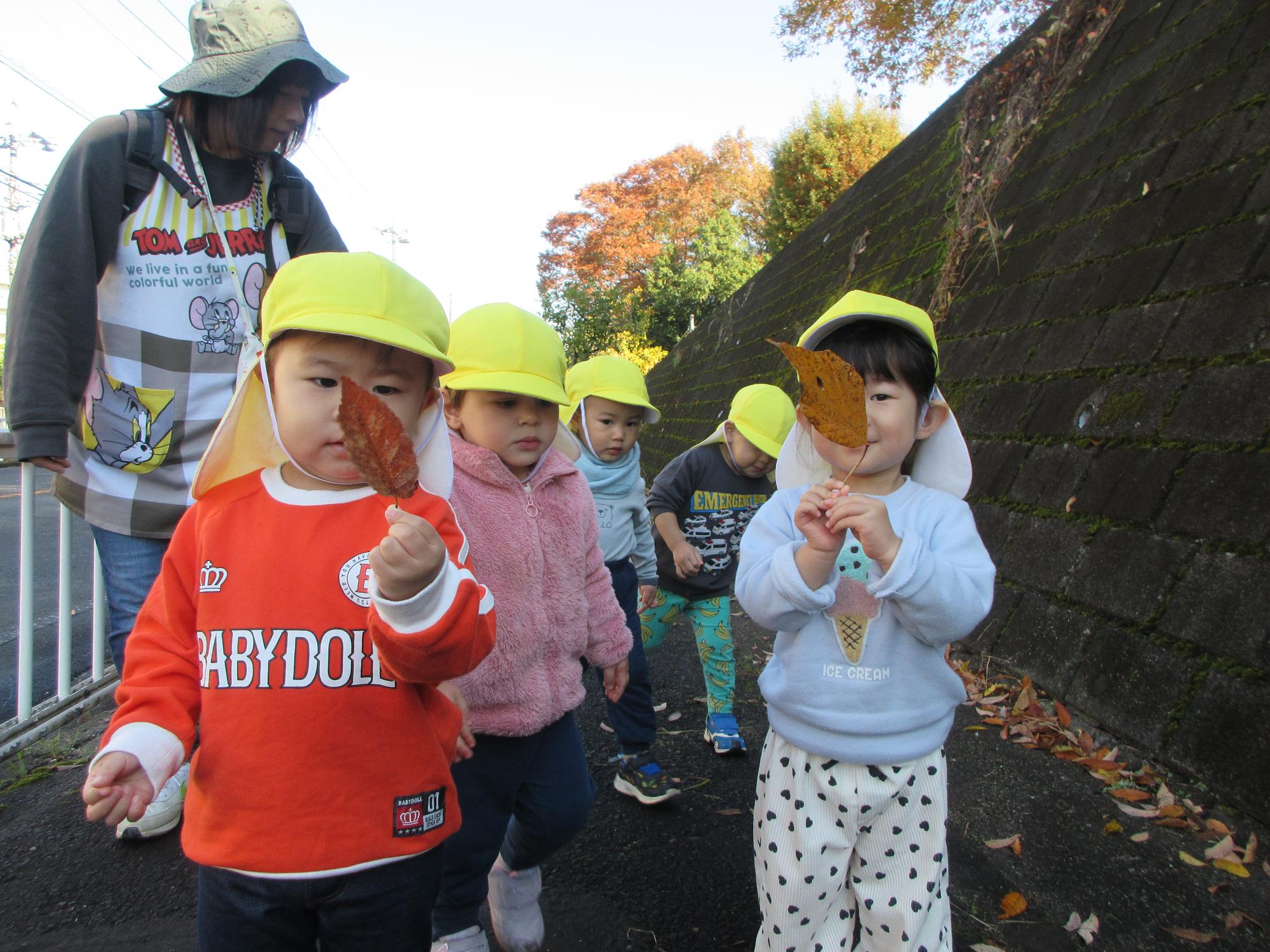 葉っぱを手に持ち、葉っぱを見せているところ