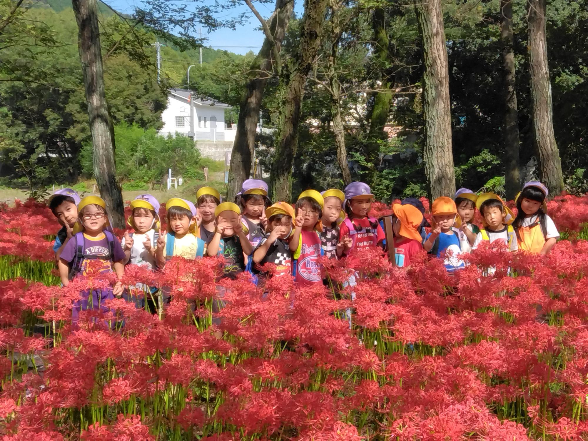 曼珠沙華とハイ、ポーズ！