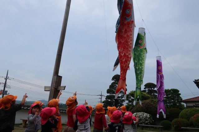 古民家のこいのぼりをみあげているところ