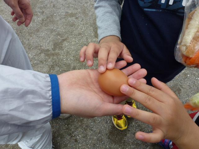 鶏の産み立て卵をさわるこどもたち。「あったかい！」「ツルツルしてる！」と感激していました。