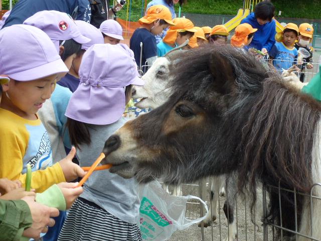 きりんえさやり