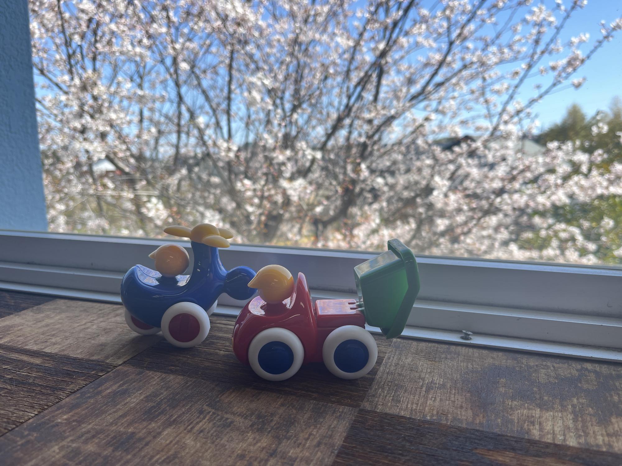 雪の日のぬくぬくの様子