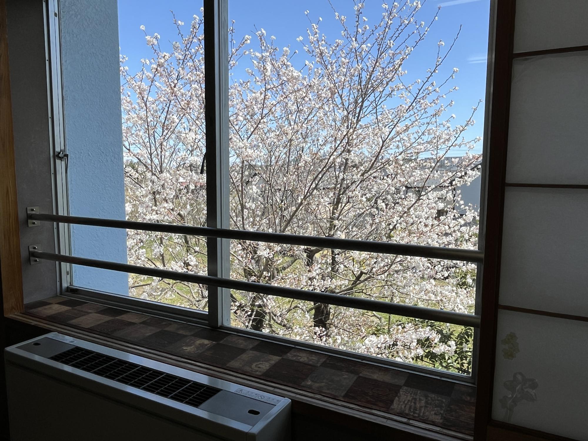 令和7年3月5日雪の日のぬくぬくの様子
