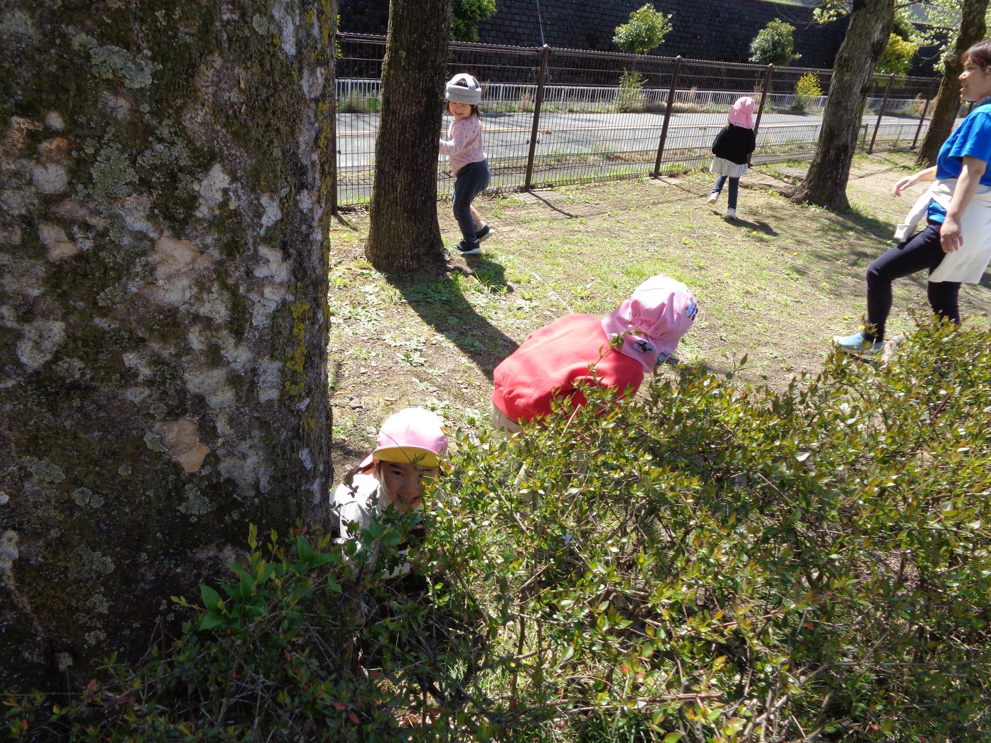 公園でのかくれんぼの様子