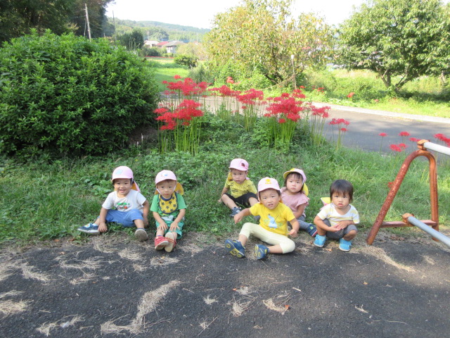 1歳児綺麗に咲いたまんじゅしゃげの前で記念撮影