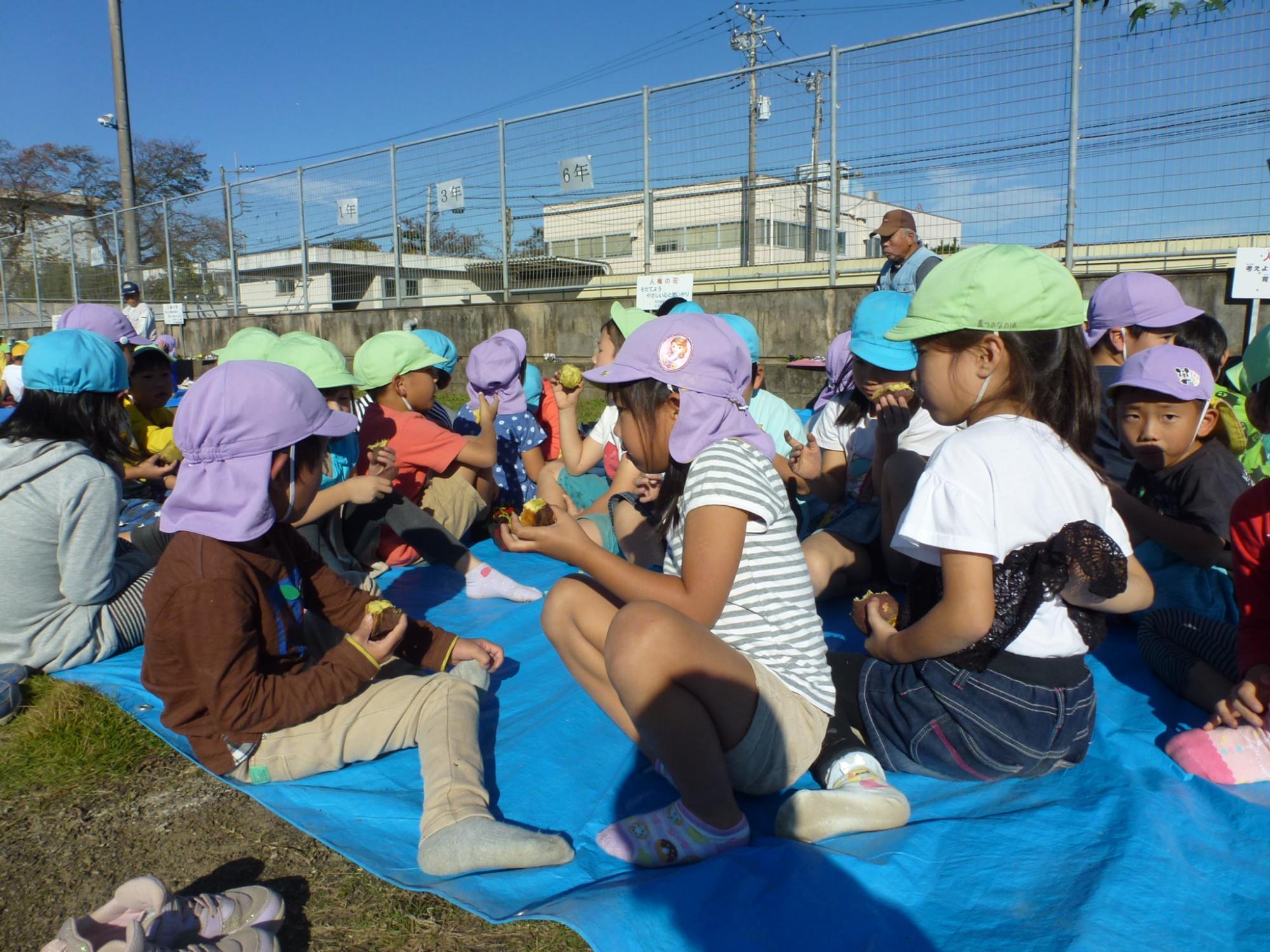 小学校で焼き芋を食べている写真