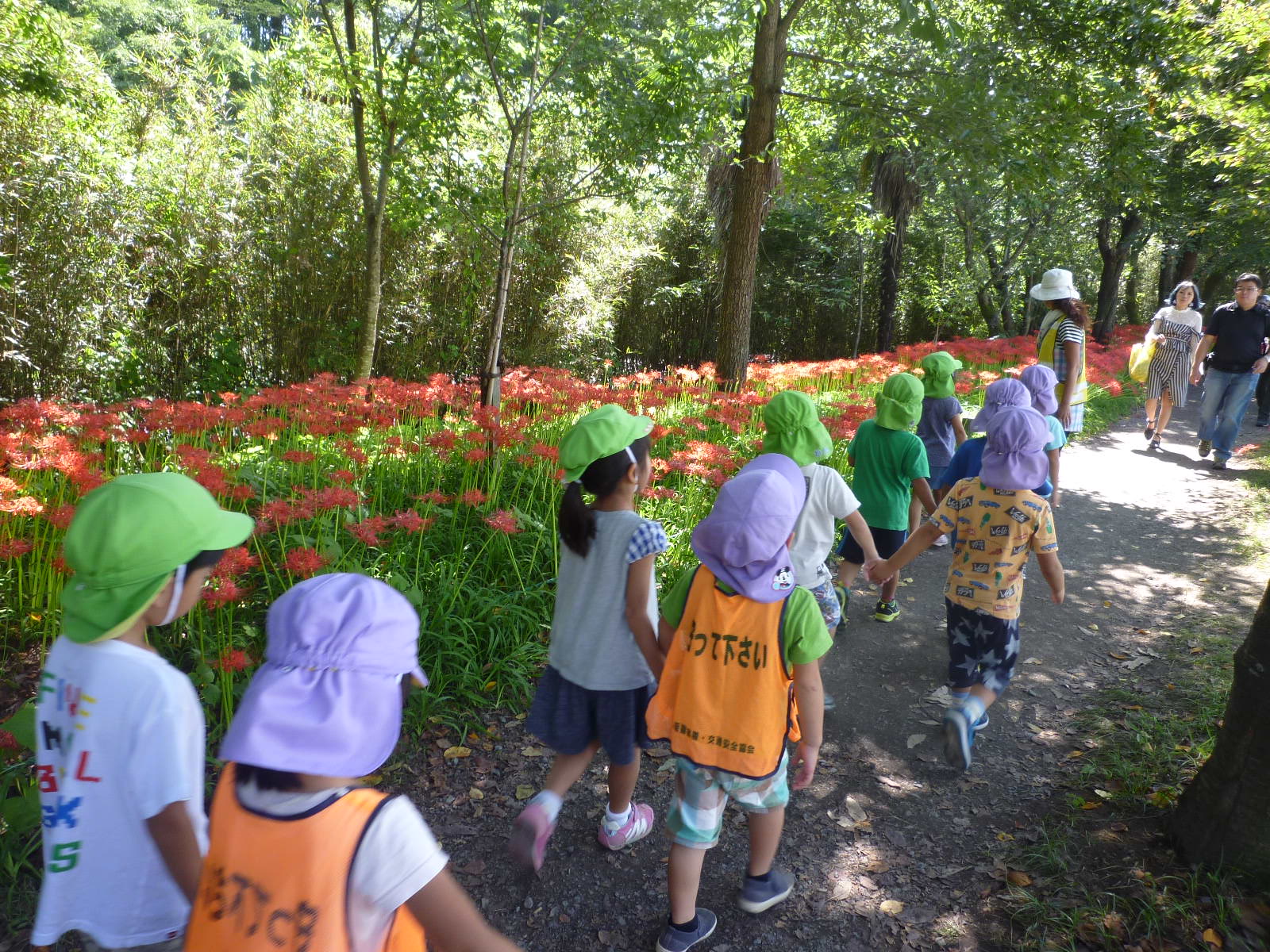 満開の曼珠沙華公園を歩く子どもたち