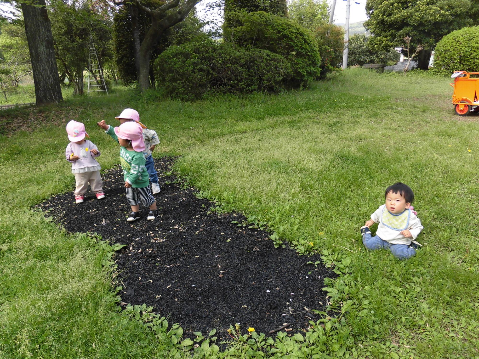 ももぐみ一歳児が散歩先の満蔵寺で遊んでいるいるところ