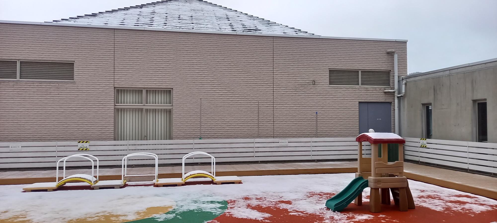 令和7年3月5日雪の日のぬくぬくの様子