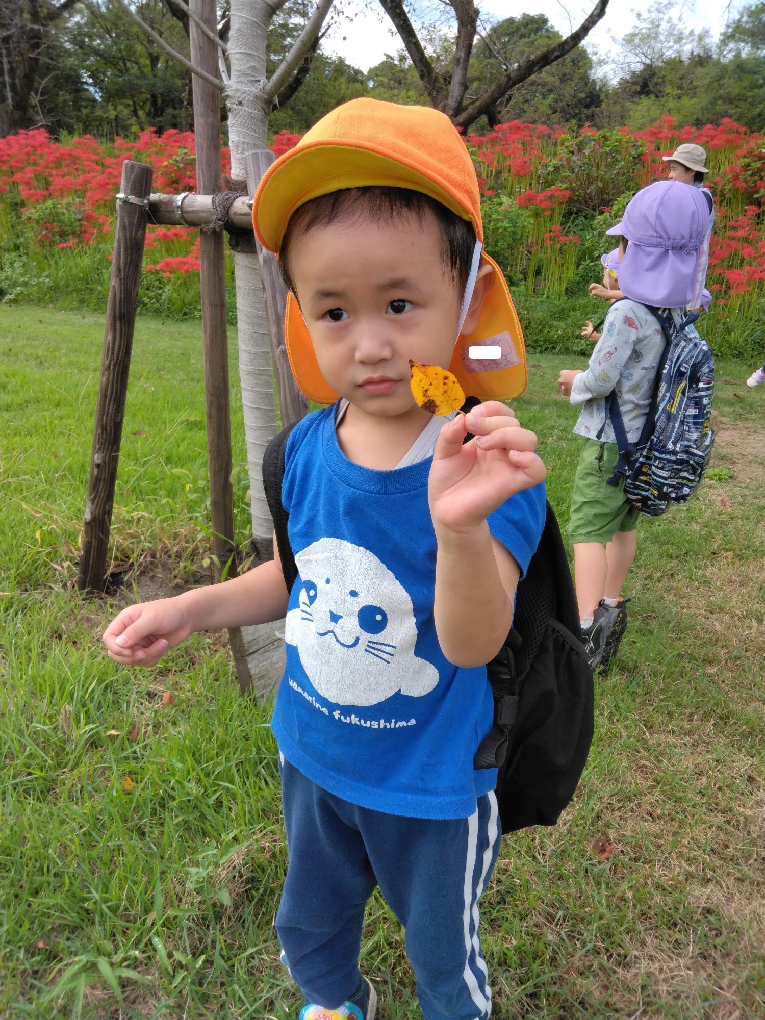 葉っぱを拾ってご満悦