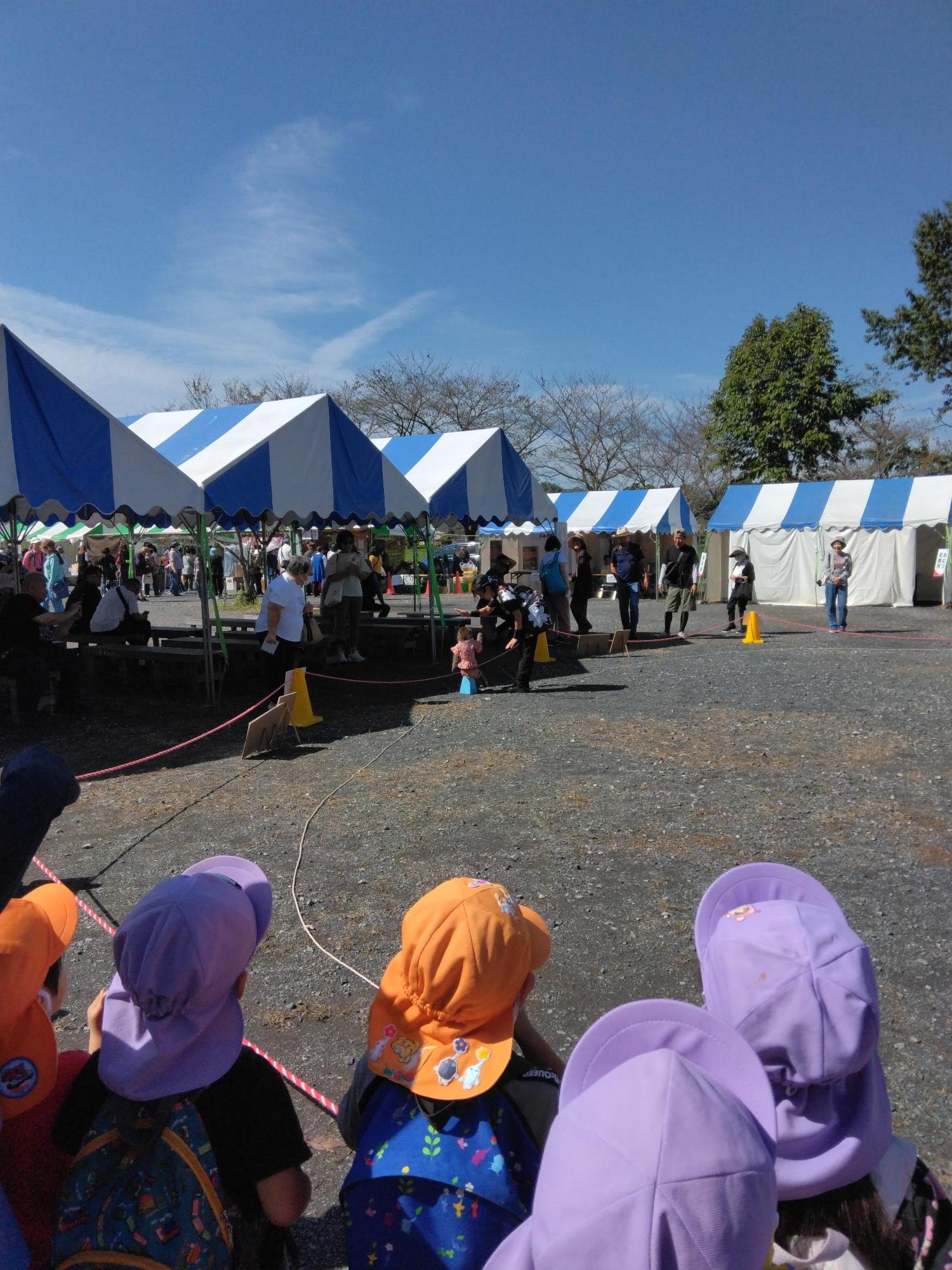 おさるさんが芸をしているのを見ています