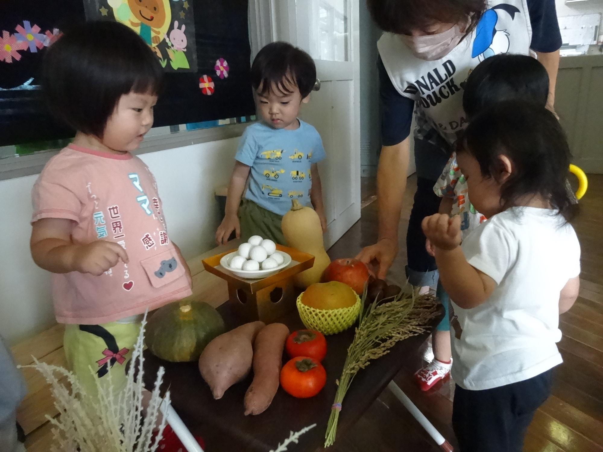 お月見の飾りを見ている様子
