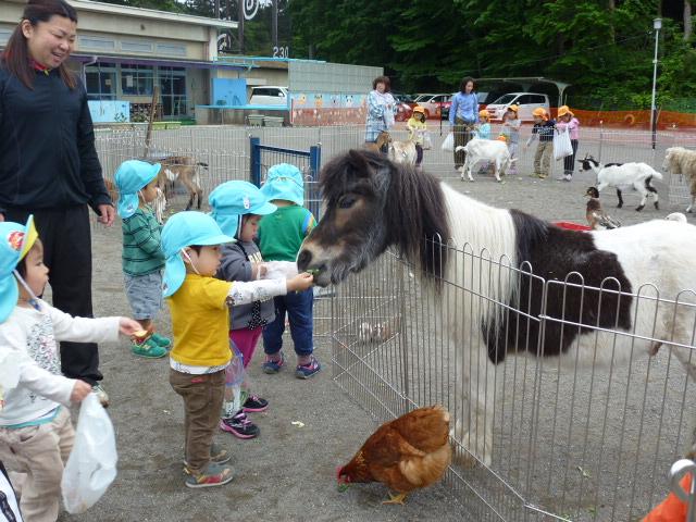 移動動物園がやってきました！（日高市立高根保育所）