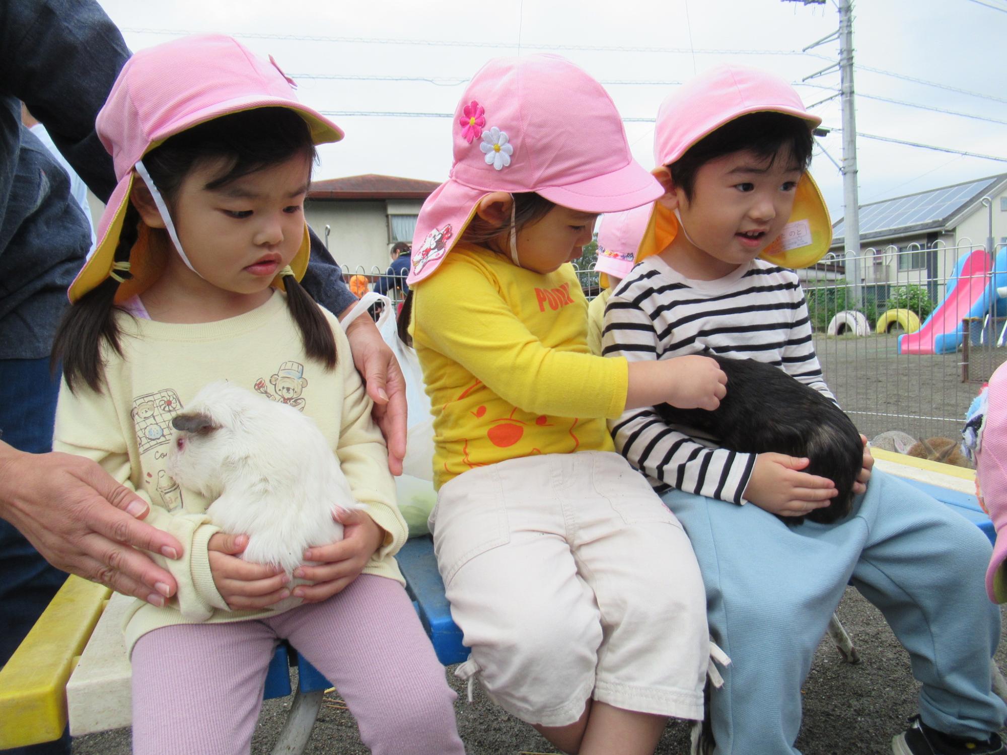 天竺鼠を抱っこする子どもたち