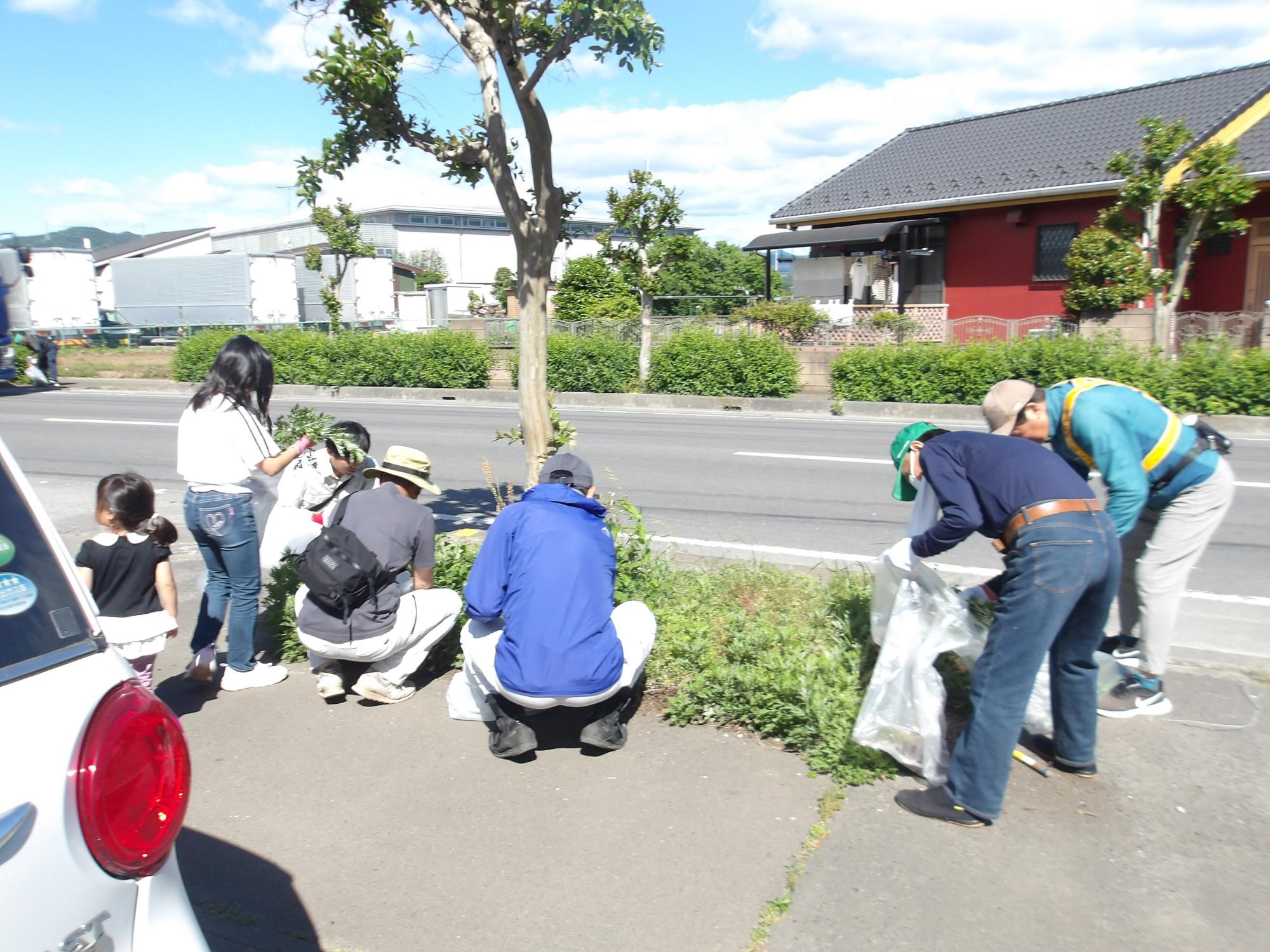 歩道の除草作業