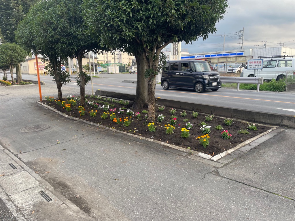 市役所通り市民プール前の花壇