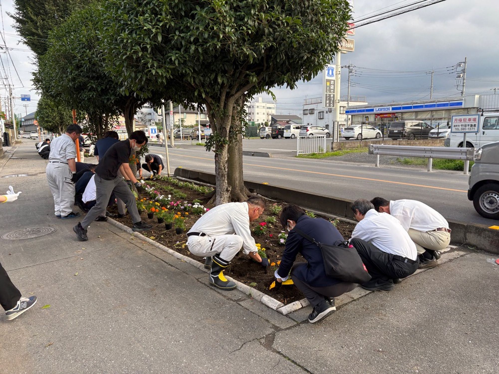 市役所通り市民プール前の花壇の花植え作業