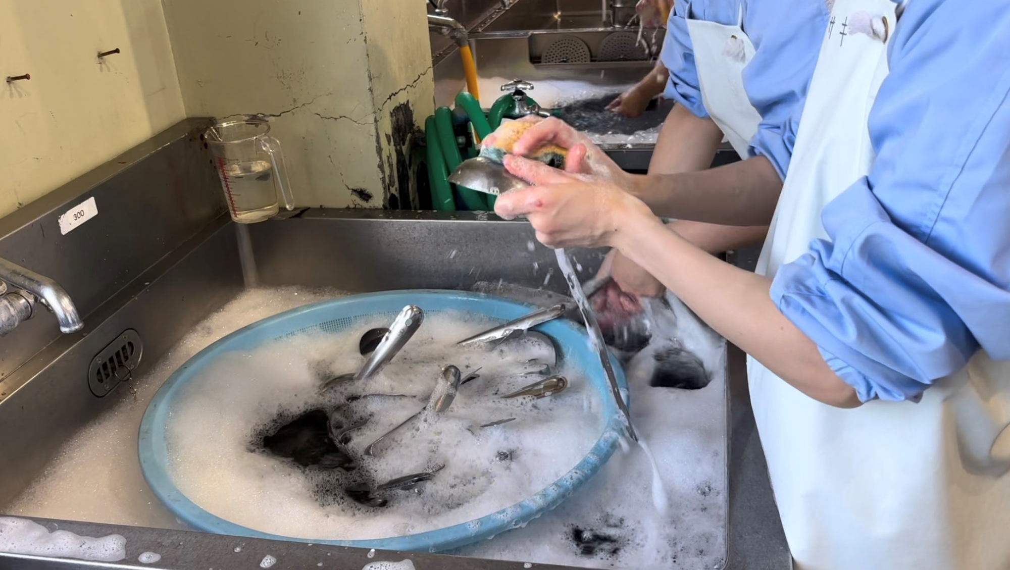 回収・洗浄の様子の写真