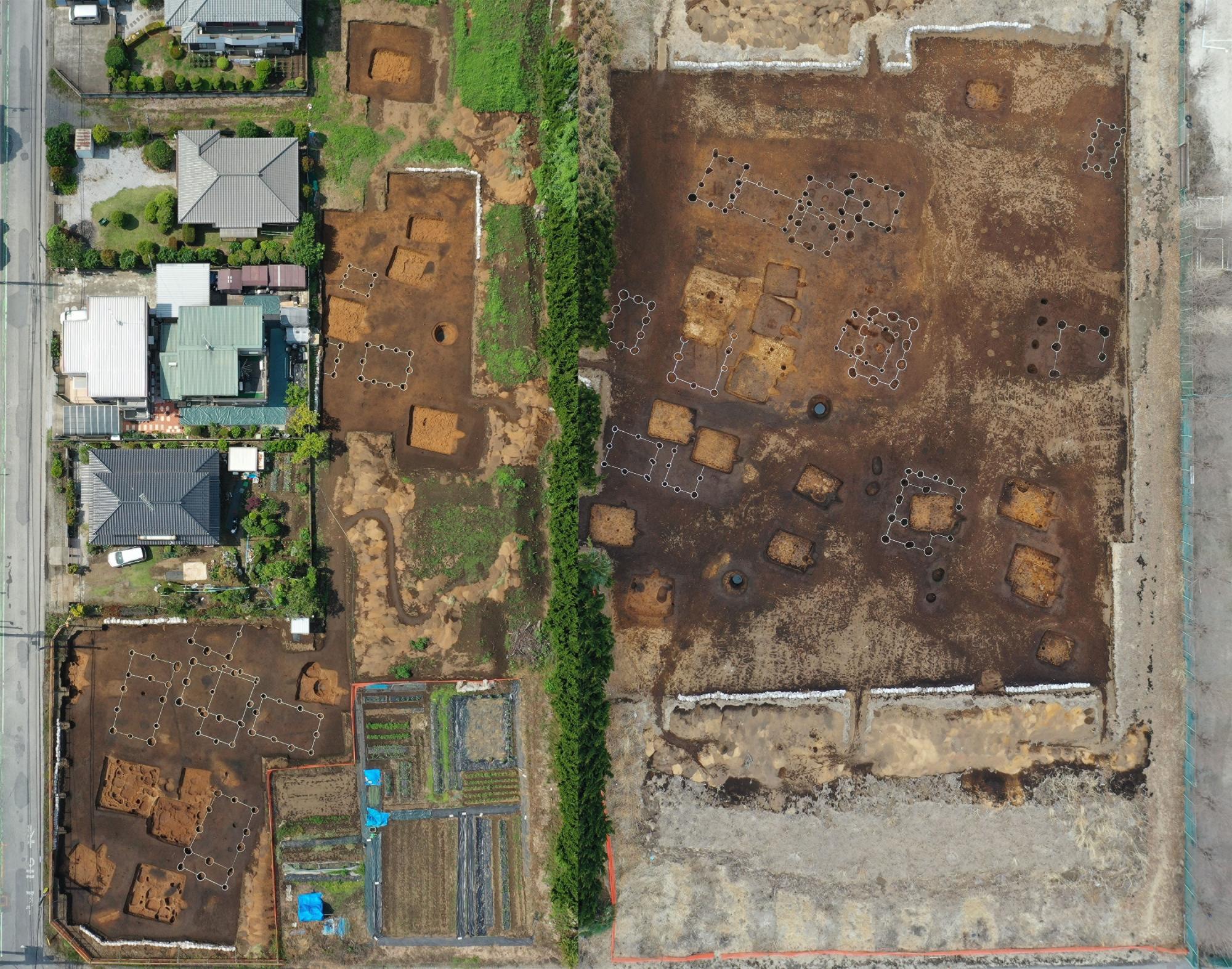 王神遺跡11、12区全景