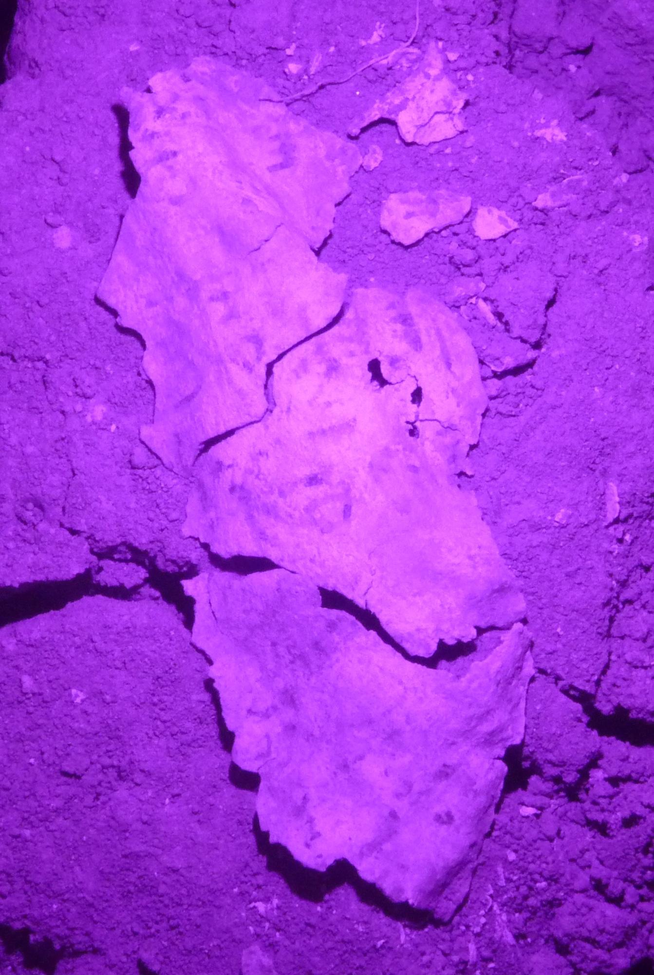 42号住漆紙赤外線写真