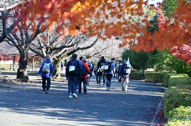 ツーデーウオーク秋の紅葉