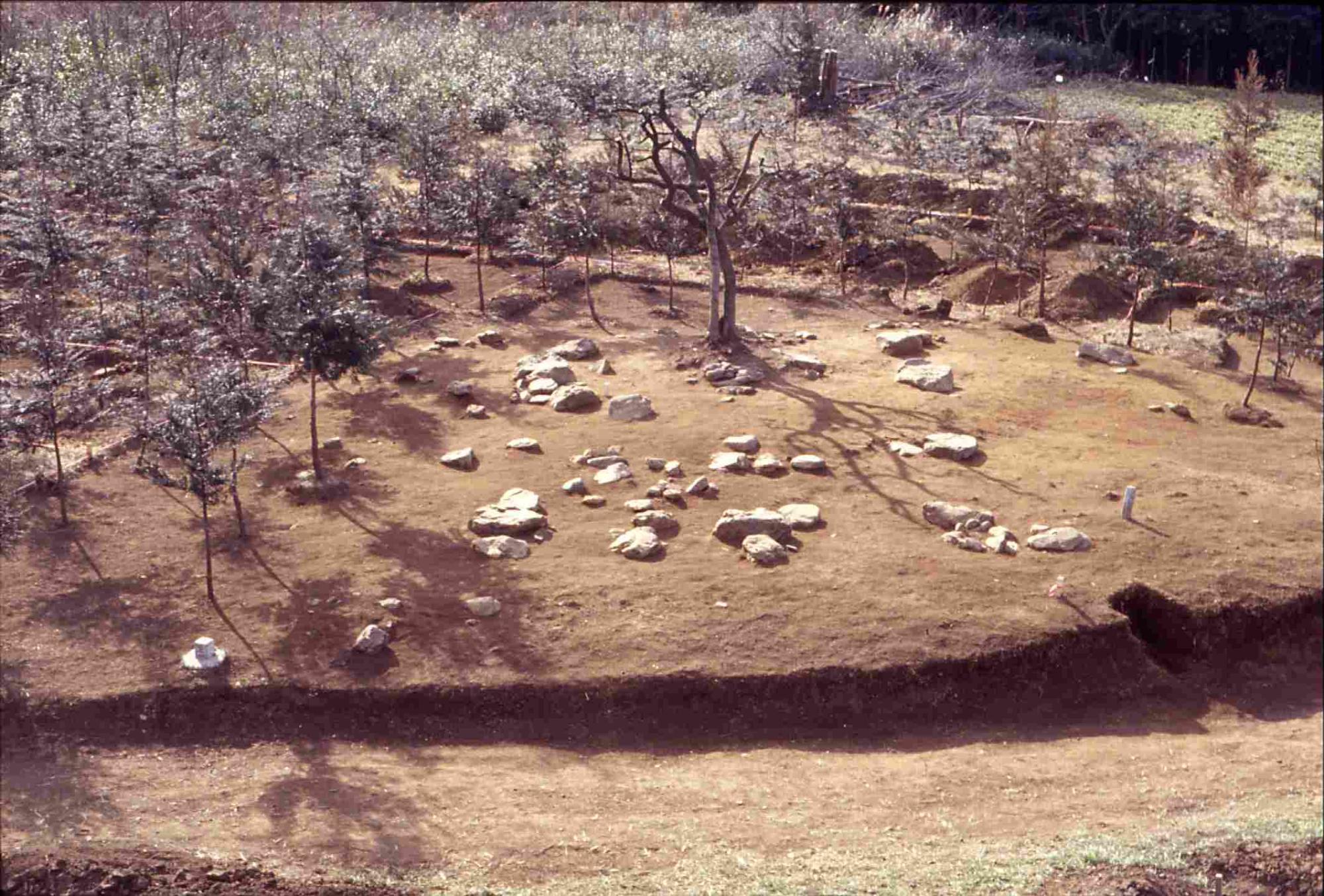 地域物語 第9編「高麗びとの聖地−大寺廃寺−」