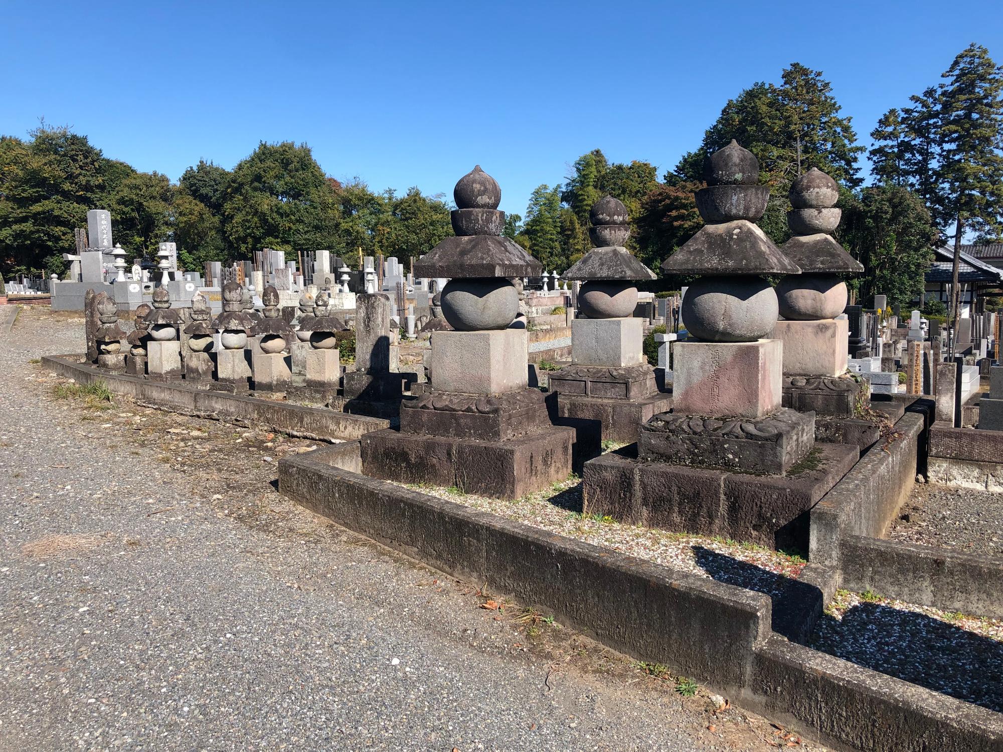 さかいよりしはか