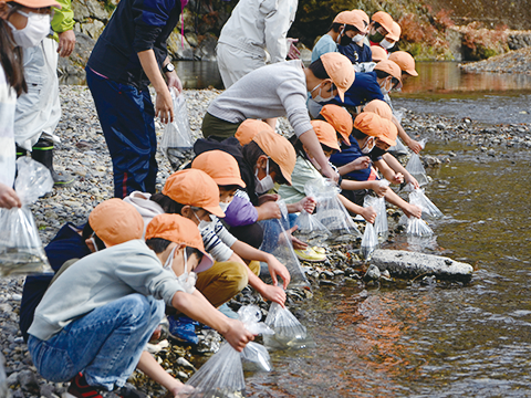 高麗川でウグイの放流を行う小学生