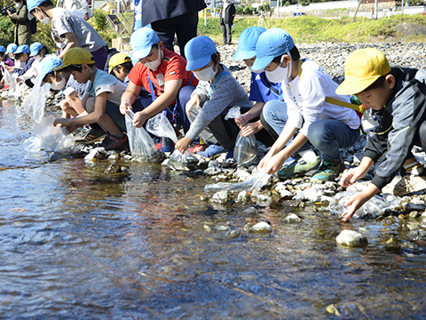 ウグイを放流する小学生の様子