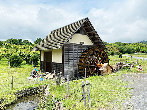 水車小屋の石臼でそばの実をひきました