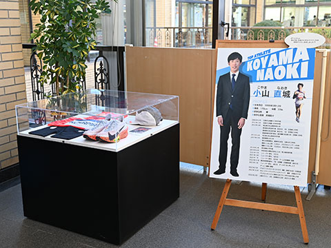 展示の様子