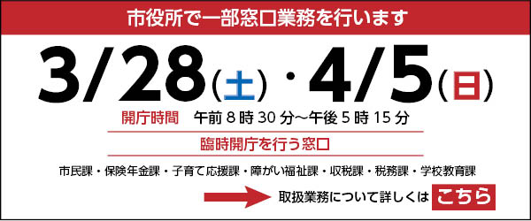 土日開庁用バナー 市役所で一部窓口業務を行います 3月28日（土曜日）・4月5日（日曜日） 開庁時間午前8時30分から午後5時15分まで 臨時開庁を行う窓口 市民課・保険年金課・子育て応援課・障がい福祉課・収税課・税務課・学校教育課 取扱業務について詳しくはこちら