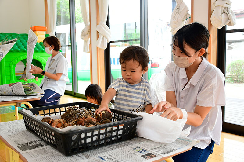 たまねぎを袋に詰める親子の様子
