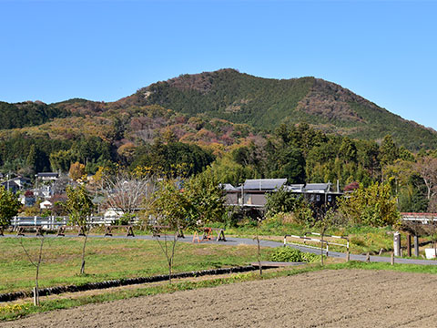 日和田山四季をいろどる自然の宝庫