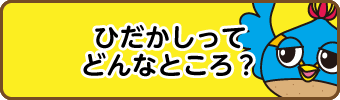 ひだかしってどんなところ？