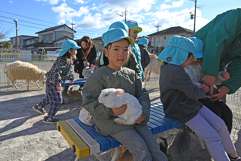移動動物園の様子2うさぎ