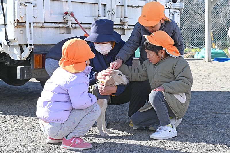 移動動物園の様子3