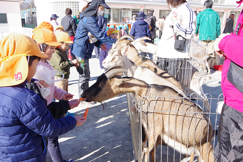 移動動物園の様子4