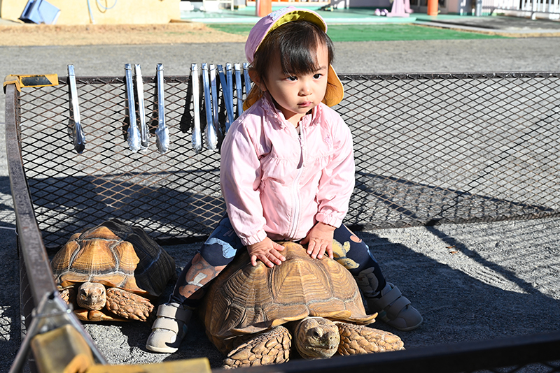 移動動物園の様子5カメ
